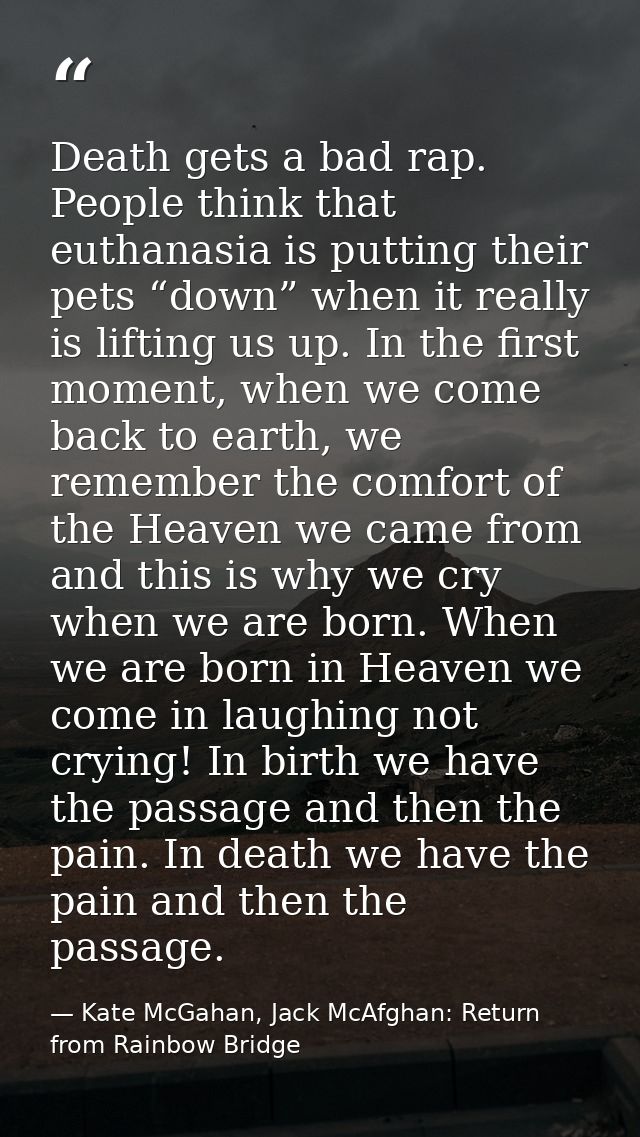 Death gets a bad rap. People think that euthanasia is putting their pets “down” when it really is lifting us up. In the  — Kate McGahan, Jack McAfghan: Return from Rainbow Bridge