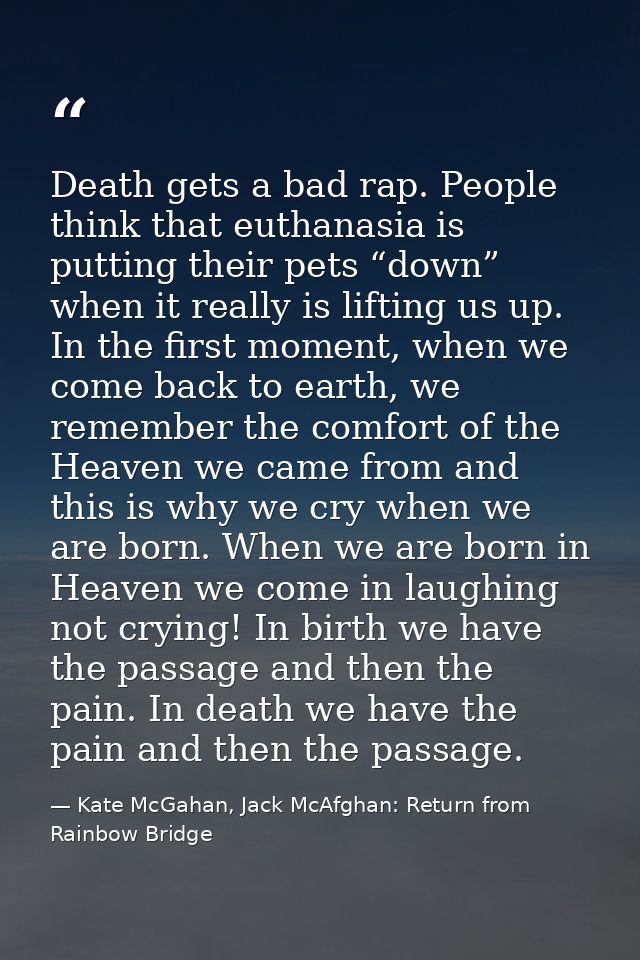 Death gets a bad rap. People think that euthanasia is putting their pets “down” when it really is lifting us up. In the  — Kate McGahan, Jack McAfghan: Return from Rainbow Bridge