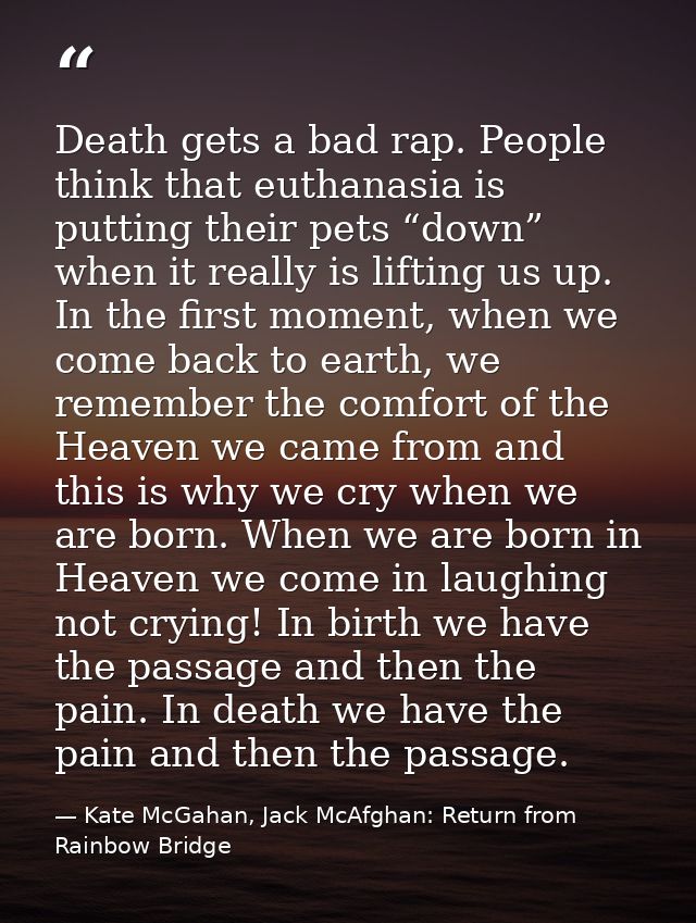 Death gets a bad rap. People think that euthanasia is putting their pets “down” when it really is lifting us up. In the  — Kate McGahan, Jack McAfghan: Return from Rainbow Bridge