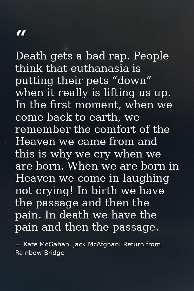 Death gets a bad rap. People think that euthanasia is putting their pets “down” when it really is lifting us up. In the  — Kate McGahan, Jack McAfghan: Return from Rainbow Bridge