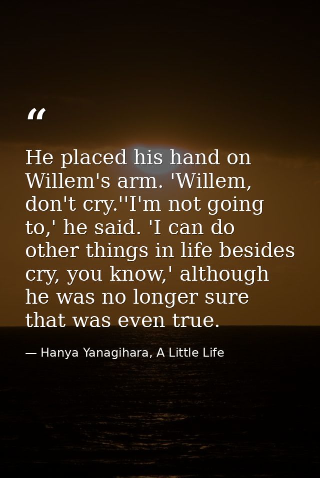 He placed his hand on Willem's arm. 'Willem, don't cry.''I'm not going to,' he said. 'I can do other things in life besi — Hanya Yanagihara, A Little Life
