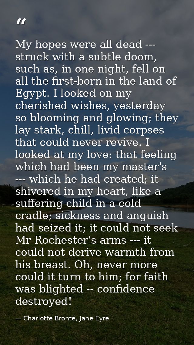 My hopes were all dead --- struck with a subtle doom, such as, in one night, fell on all the first-born in the land of E — Charlotte Brontë, Jane Eyre