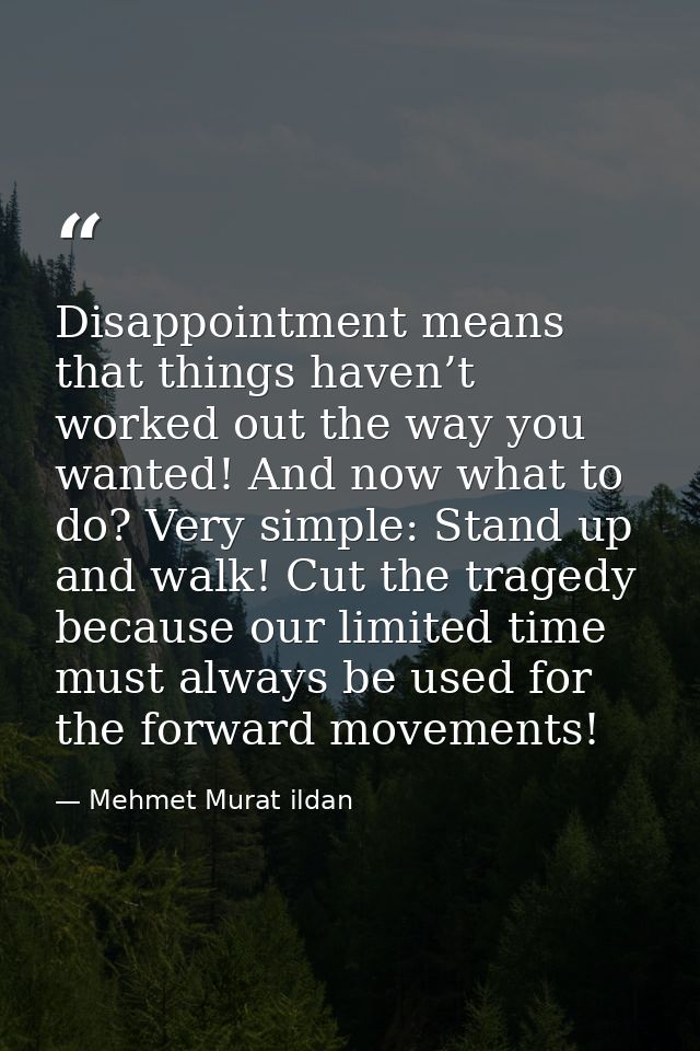 Disappointment means that things haven’t worked out the way you wanted! And now what to do? Very simple: Stand up and wa — Mehmet Murat ildan
