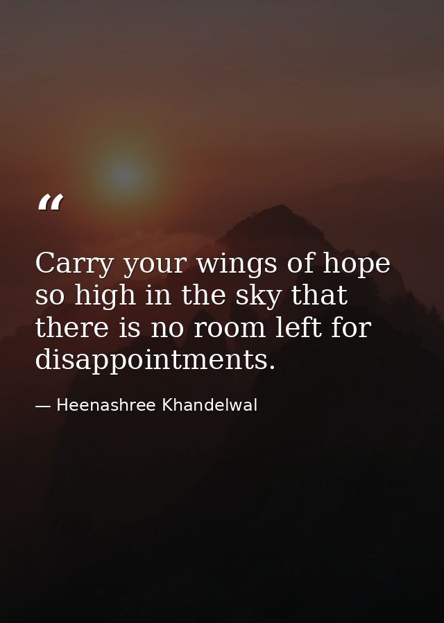 Carry your wings of hope so high in the sky that there is no room left for disappointments. — Heenashree Khandelwal