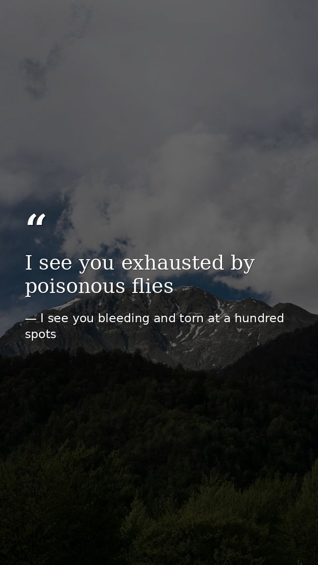I see you exhausted by poisonous flies — I see you bleeding and torn at a hundred spots