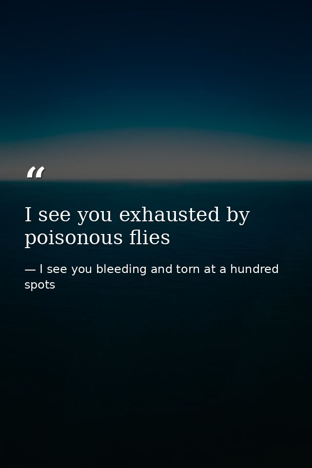 I see you exhausted by poisonous flies — I see you bleeding and torn at a hundred spots