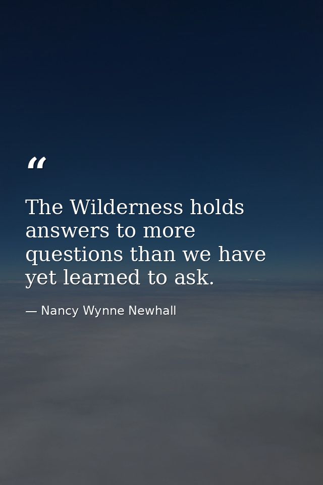 The Wilderness holds answers to more questions than we have yet learned to ask. — Nancy Wynne Newhall