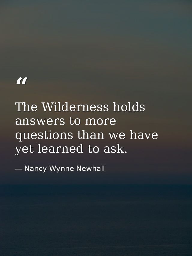 The Wilderness holds answers to more questions than we have yet learned to ask. — Nancy Wynne Newhall