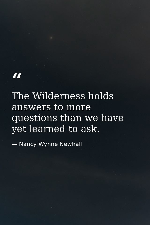 The Wilderness holds answers to more questions than we have yet learned to ask. — Nancy Wynne Newhall
