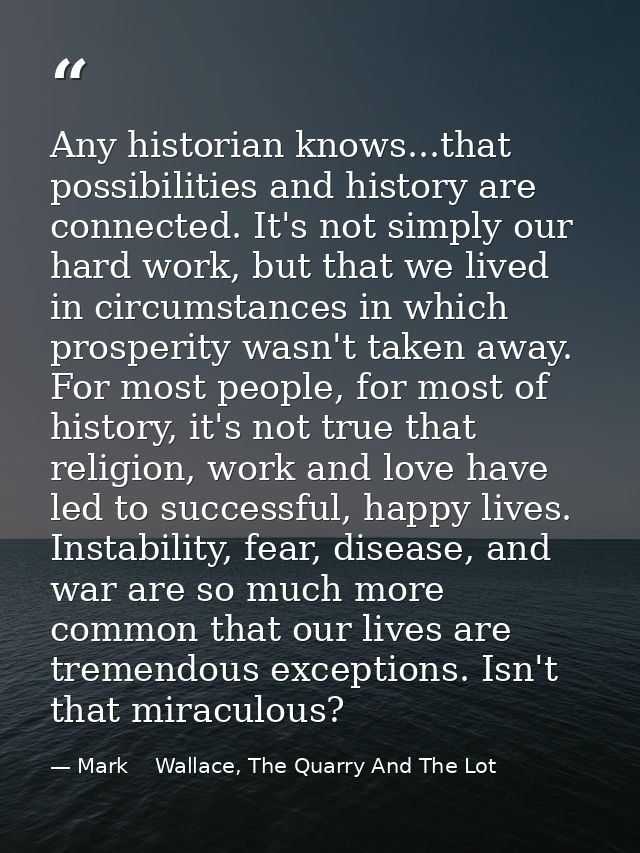 Any historian knows...that possibilities and history are connected. It's not simply our hard work, but that we lived in  — Mark    Wallace, The Quarry And The Lot