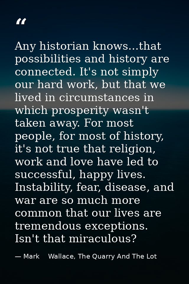 Any historian knows...that possibilities and history are connected. It's not simply our hard work, but that we lived in  — Mark    Wallace, The Quarry And The Lot