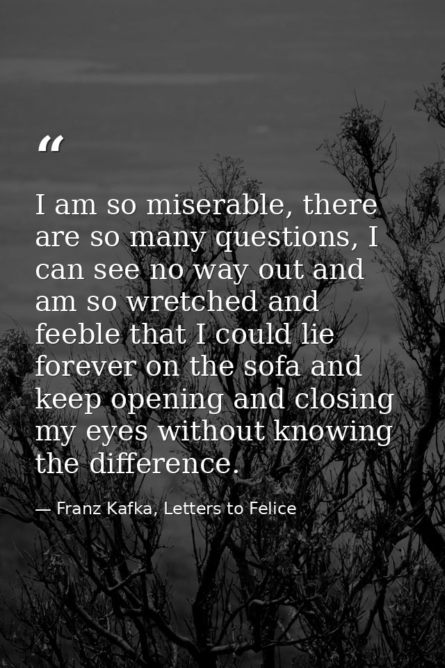 I am so miserable, there are so many questions, I can see no way out and am so wretched and feeble that I could lie fore — Franz Kafka, Letters to Felice‎