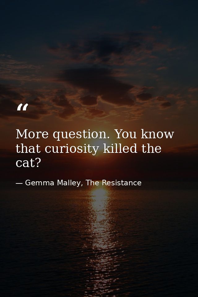 More question. You know that curiosity killed the cat? — Gemma Malley, The Resistance