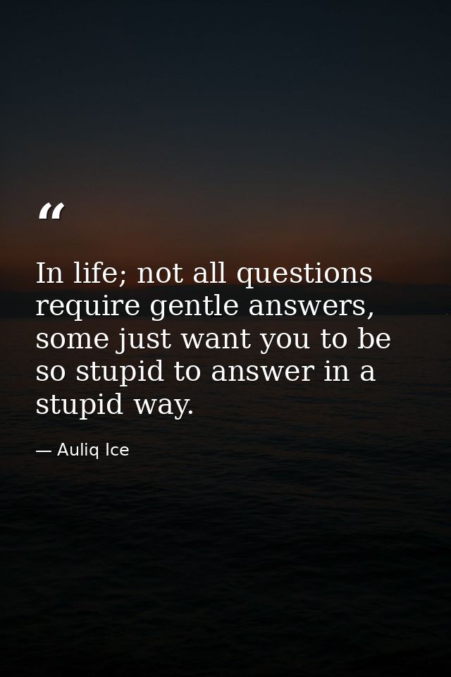 In life; not all questions require gentle answers, some just want you to be so stupid to answer in a stupid way. — Auliq Ice