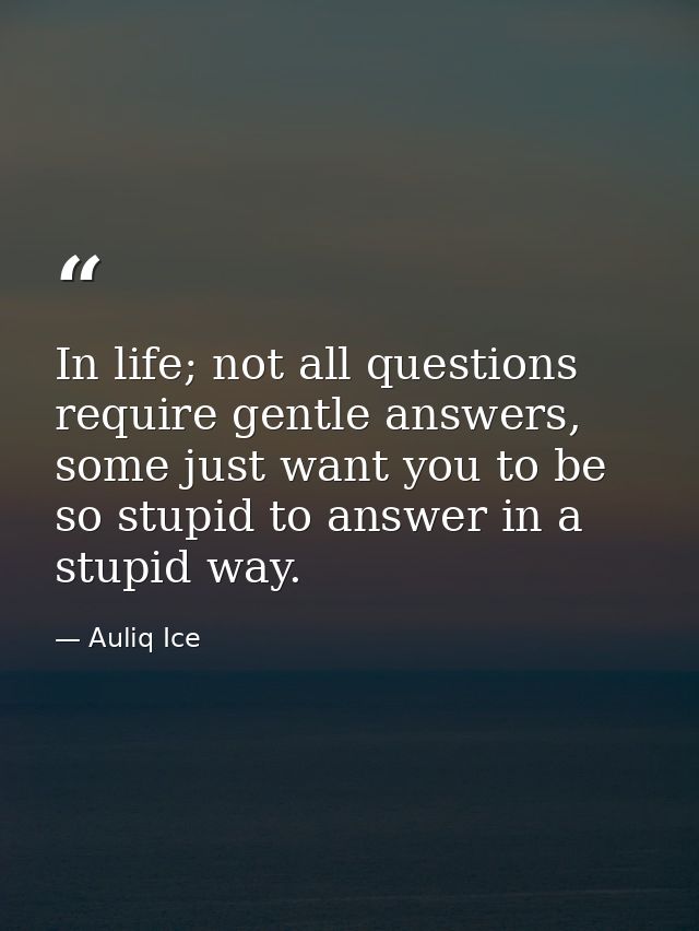 In life; not all questions require gentle answers, some just want you to be so stupid to answer in a stupid way. — Auliq Ice