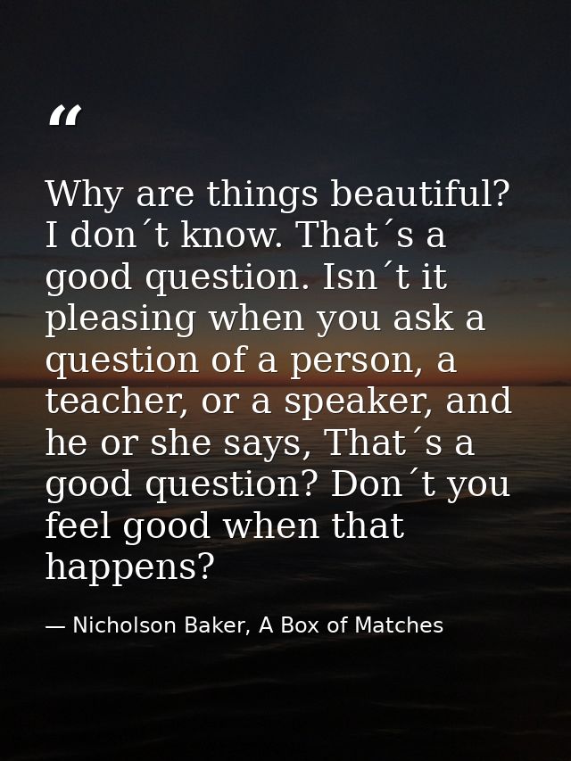 Why are things beautiful? I don´t know. That´s a good question. Isn´t it pleasing when you ask a question of a person, a — Nicholson Baker, A Box of Matches