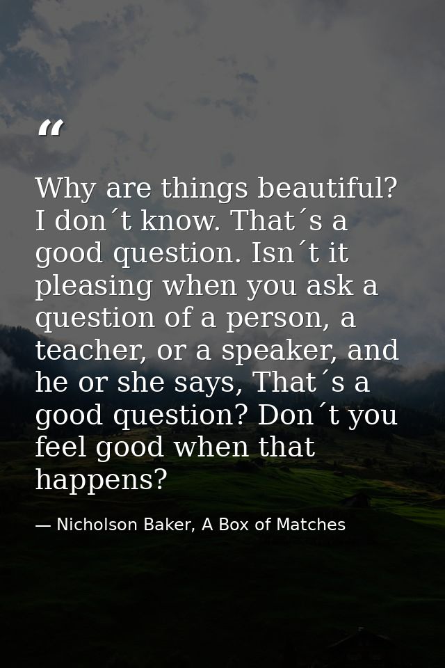 Why are things beautiful? I don´t know. That´s a good question. Isn´t it pleasing when you ask a question of a person, a — Nicholson Baker, A Box of Matches