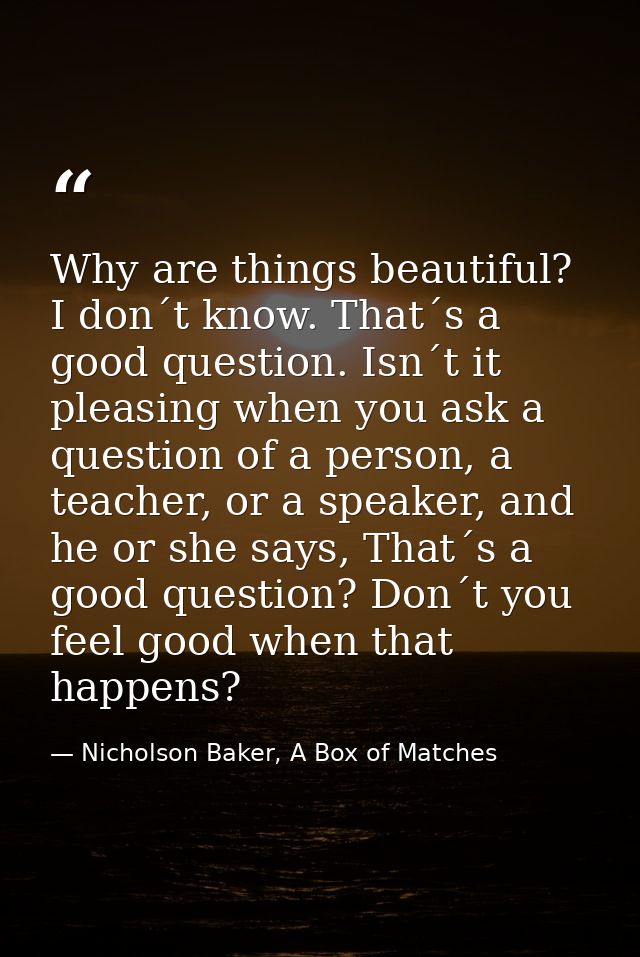 Why are things beautiful? I don´t know. That´s a good question. Isn´t it pleasing when you ask a question of a person, a — Nicholson Baker, A Box of Matches