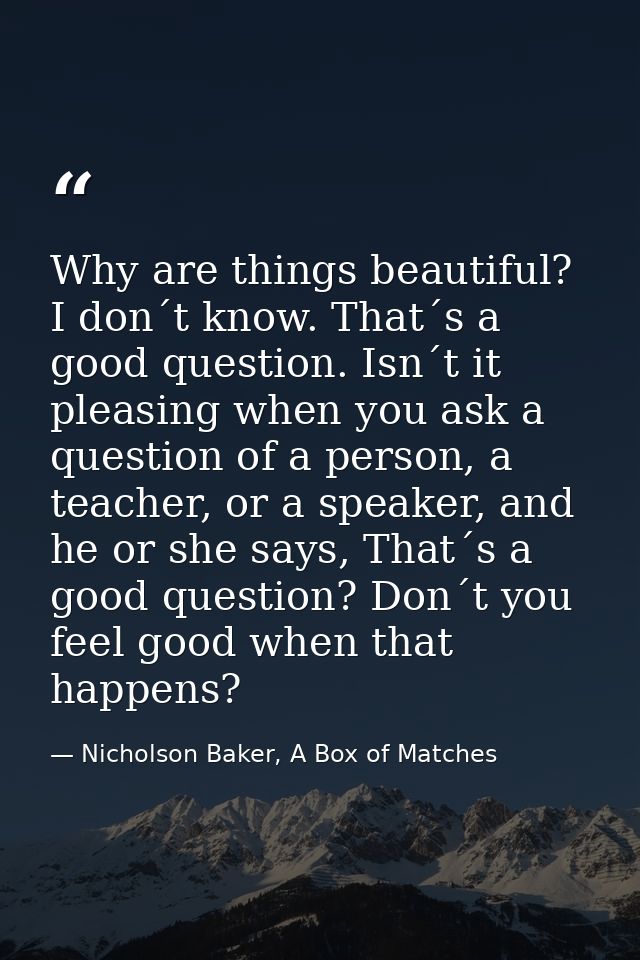 Why are things beautiful? I don´t know. That´s a good question. Isn´t it pleasing when you ask a question of a person, a — Nicholson Baker, A Box of Matches