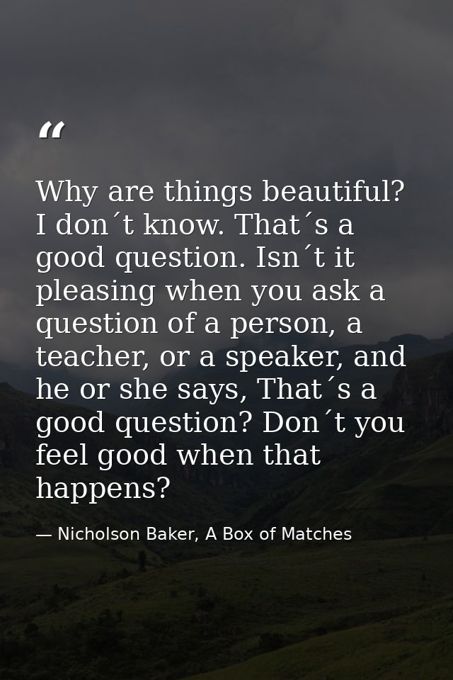 Why are things beautiful? I don´t know. That´s a good question. Isn´t it pleasing when you ask a question of a person, a — Nicholson Baker, A Box of Matches