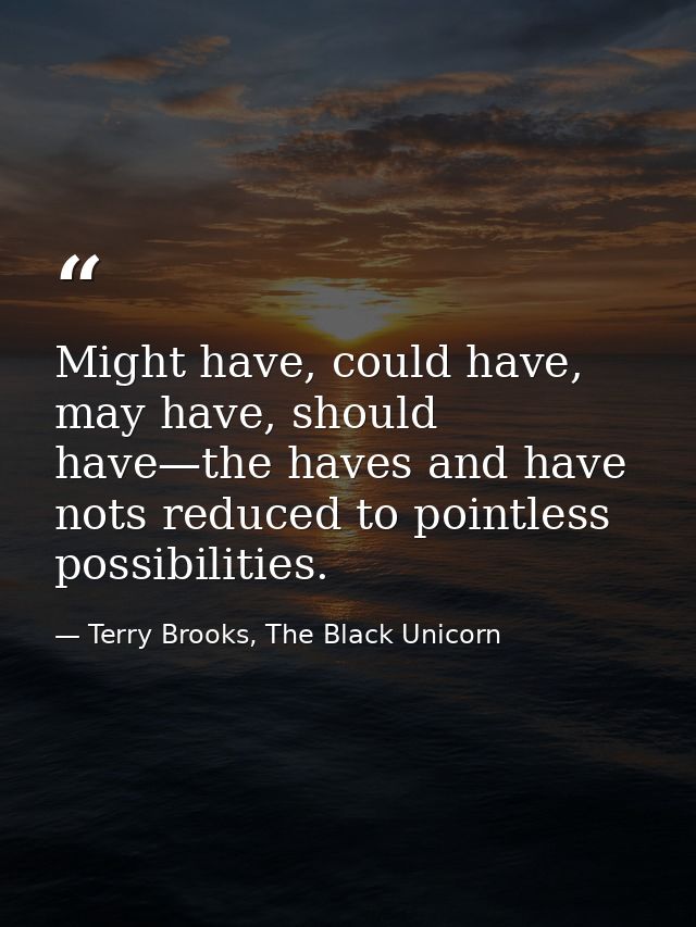 Might have, could have, may have, should have—the haves and have nots reduced to pointless possibilities. — Terry Brooks, The Black Unicorn