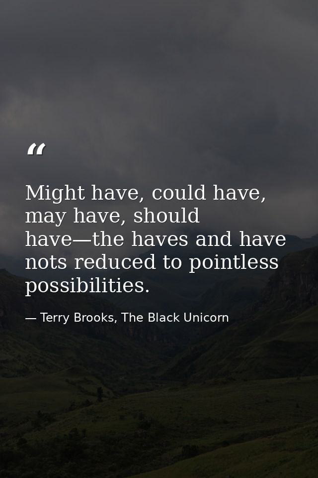 Might have, could have, may have, should have—the haves and have nots reduced to pointless possibilities. — Terry Brooks, The Black Unicorn