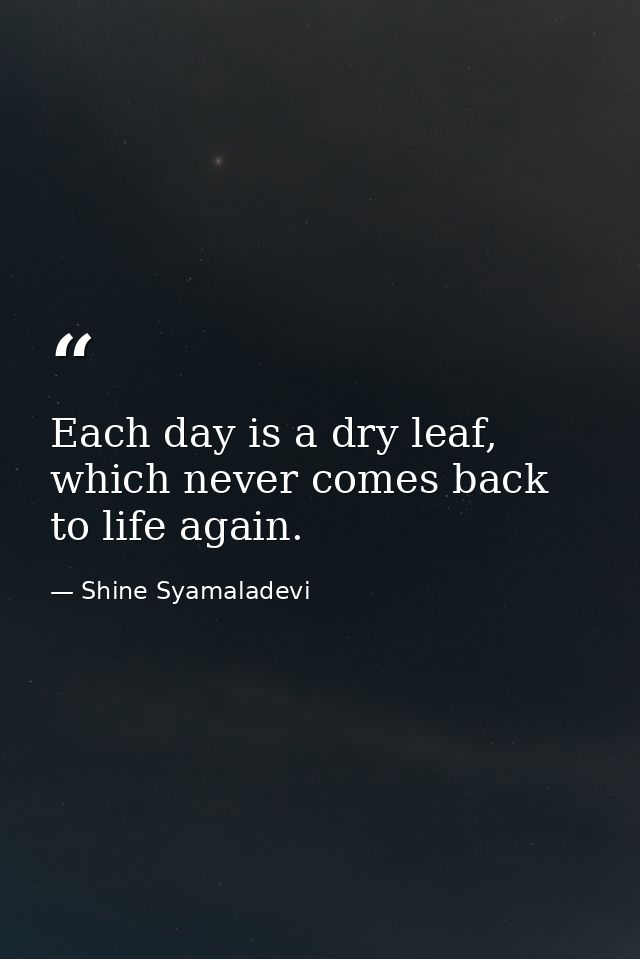 Each day is a dry leaf, which never comes back to life again. — Shine Syamaladevi