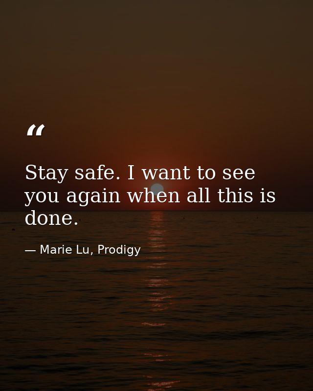 Stay safe. I want to see you again when all this is done. — Marie Lu, Prodigy