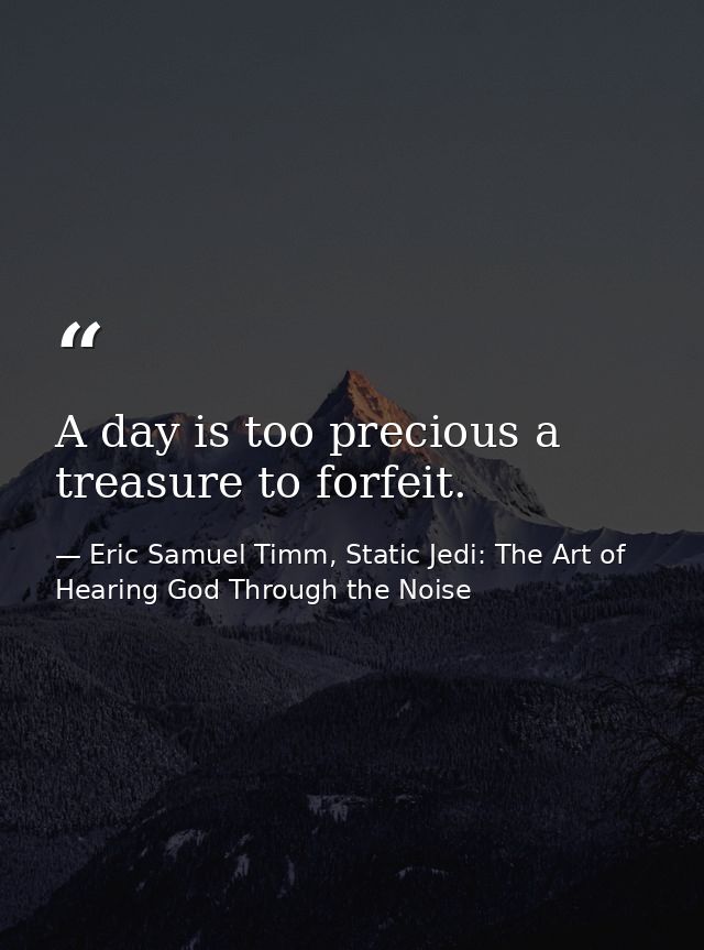 A day is too precious a treasure to forfeit. — Eric Samuel Timm, Static Jedi: The Art of Hearing God Through the Noise