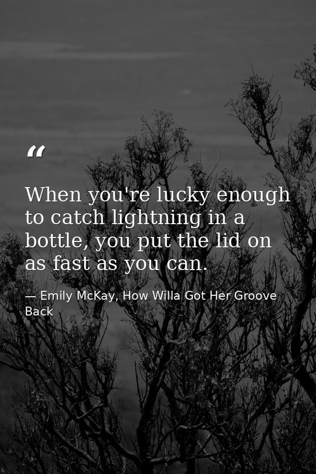 When you're lucky enough to catch lightning in a bottle, you put the lid on as fast as you can. — Emily McKay, How Willa Got Her Groove Back