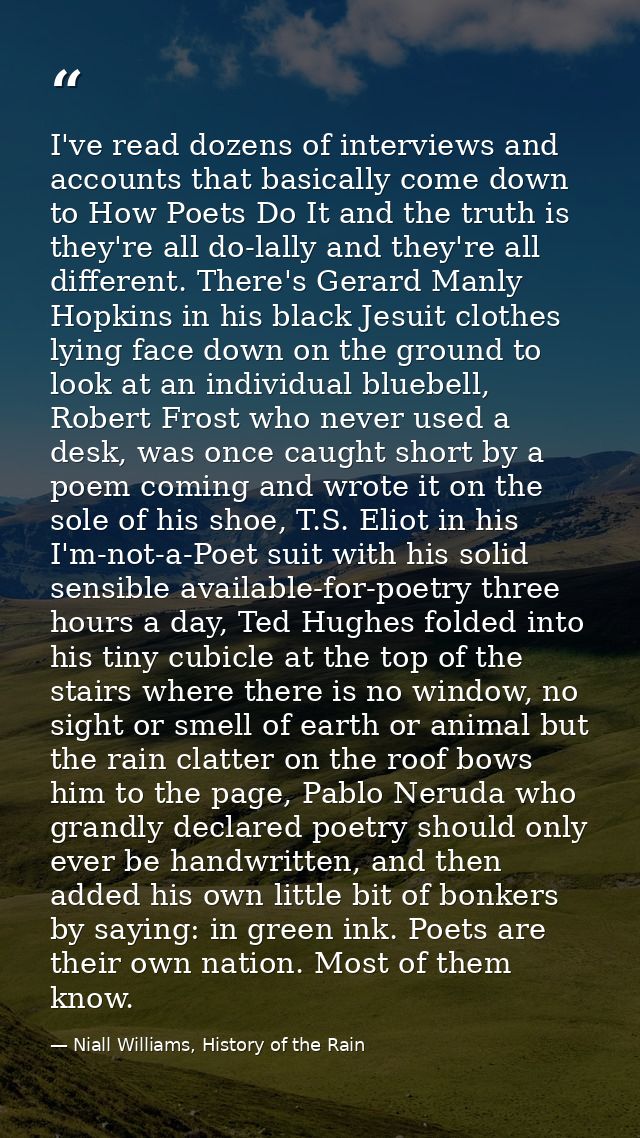 I've read dozens of interviews and accounts that basically come down to How Poets Do It and the truth is they're all do- — Niall Williams, History of the Rain