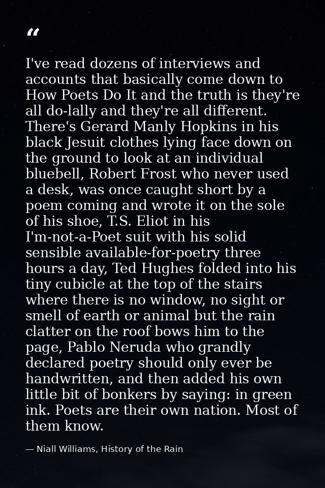 I've read dozens of interviews and accounts that basically come down to How Poets Do It and the truth is they're all do- — Niall Williams, History of the Rain