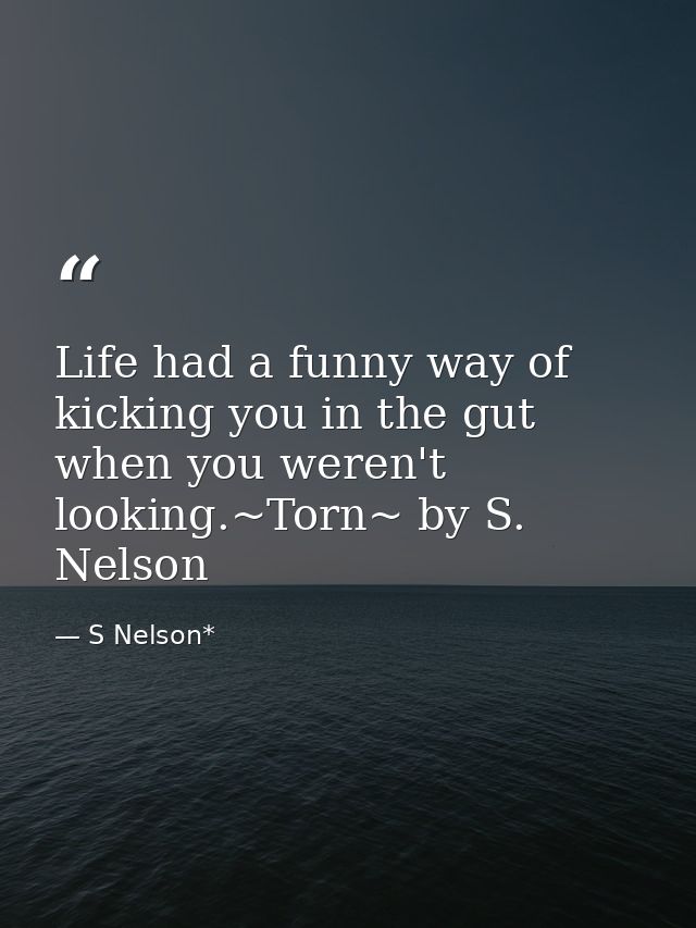Life had a funny way of kicking you in the gut when you weren't looking.~Torn~ by S. Nelson — S Nelson*
