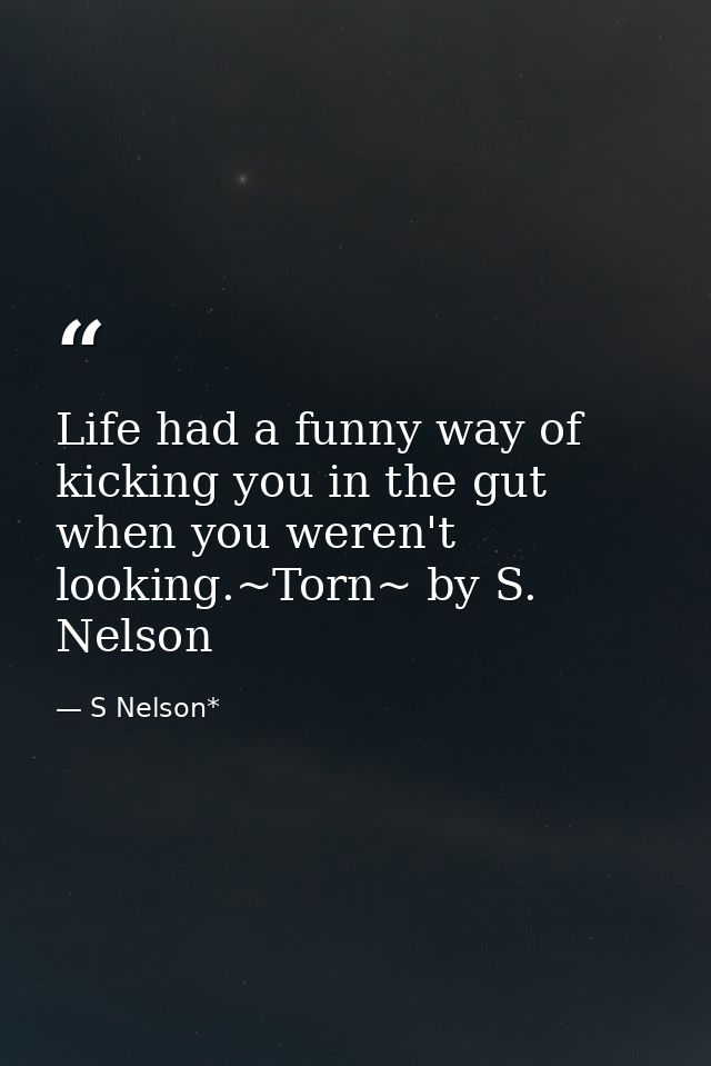 Life had a funny way of kicking you in the gut when you weren't looking.~Torn~ by S. Nelson — S Nelson*