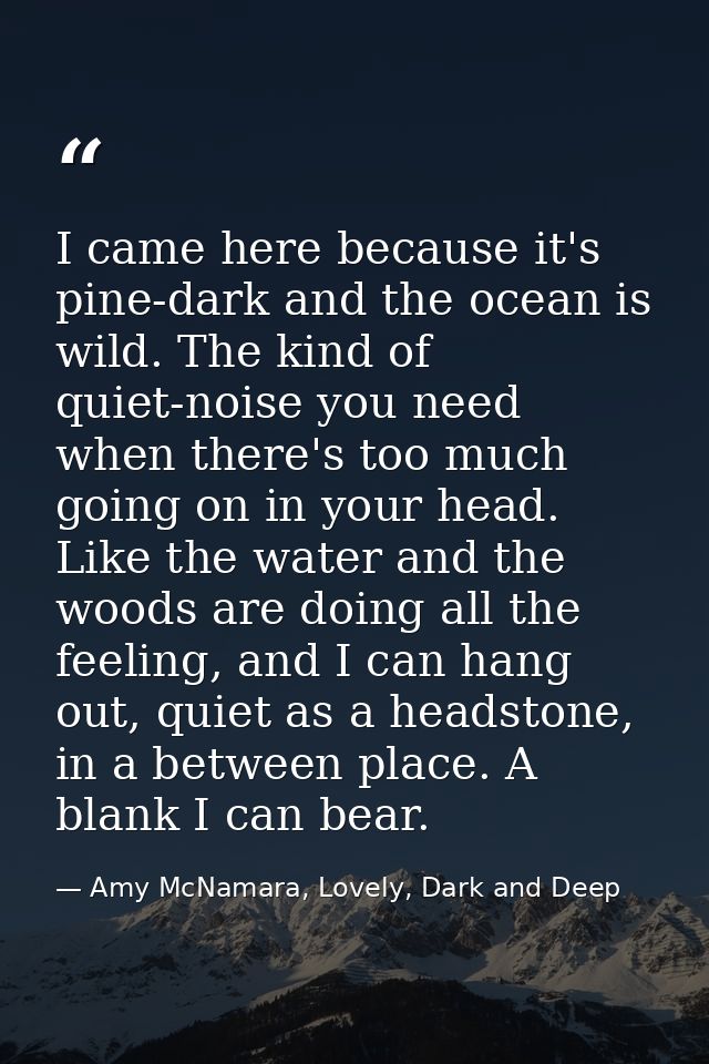 I came here because it's pine-dark and the ocean is wild. The kind of quiet-noise you need when there's too much going o — Amy McNamara, Lovely, Dark and Deep