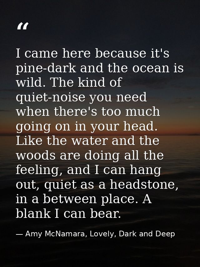 I came here because it's pine-dark and the ocean is wild. The kind of quiet-noise you need when there's too much going o — Amy McNamara, Lovely, Dark and Deep