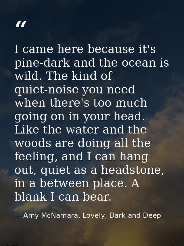 I came here because it's pine-dark and the ocean is wild. The kind of quiet-noise you need when there's too much going o — Amy McNamara, Lovely, Dark and Deep