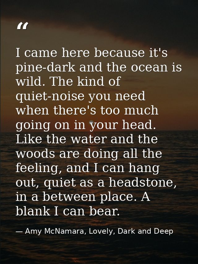 I came here because it's pine-dark and the ocean is wild. The kind of quiet-noise you need when there's too much going o — Amy McNamara, Lovely, Dark and Deep