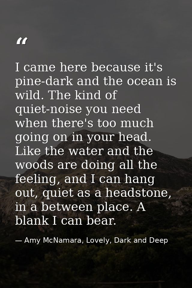 I came here because it's pine-dark and the ocean is wild. The kind of quiet-noise you need when there's too much going o — Amy McNamara, Lovely, Dark and Deep