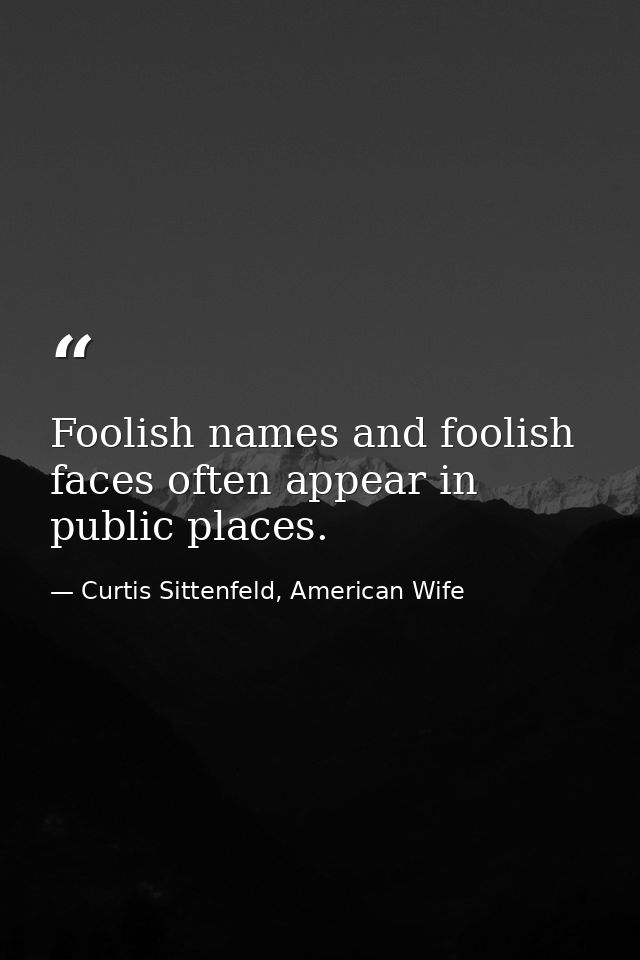Foolish names and foolish faces often appear in public places. — Curtis Sittenfeld, American Wife