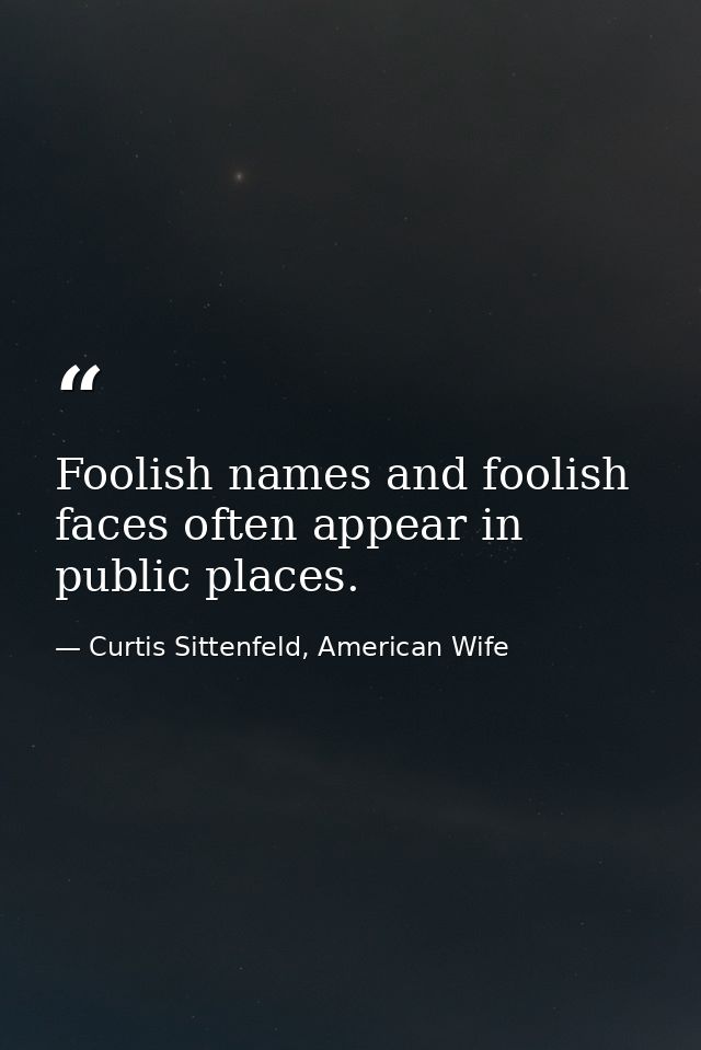 Foolish names and foolish faces often appear in public places. — Curtis Sittenfeld, American Wife