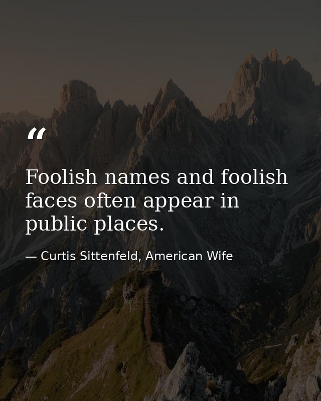 Foolish names and foolish faces often appear in public places. — Curtis Sittenfeld, American Wife