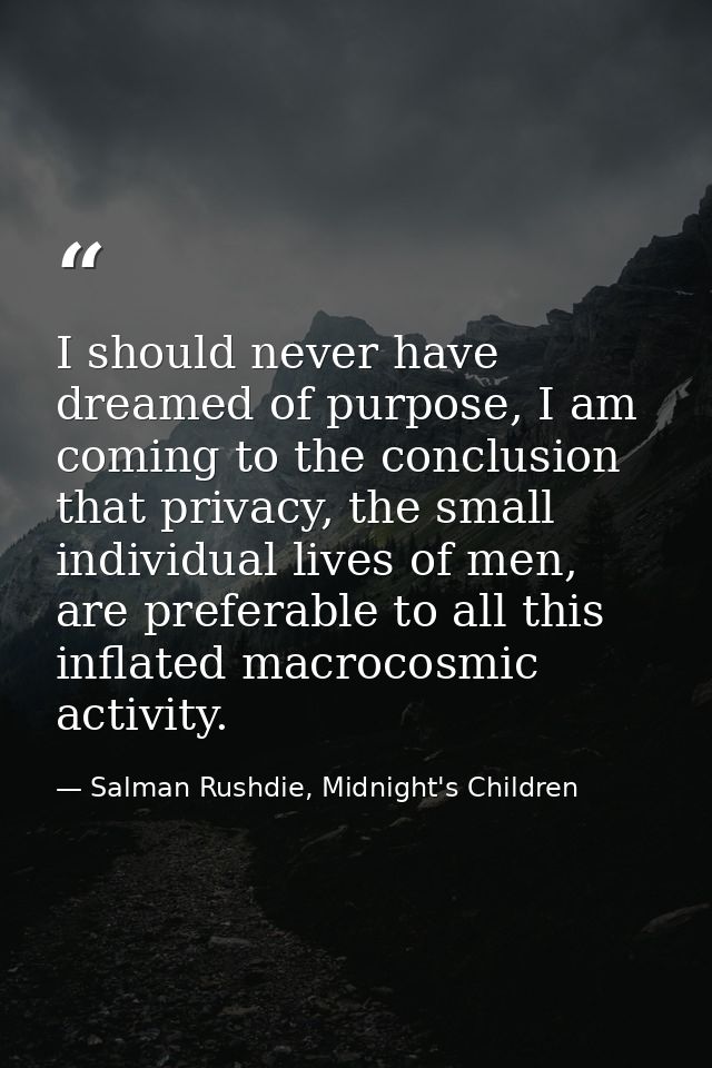 I should never have dreamed of purpose, I am coming to the conclusion that privacy, the small individual lives of men, a — Salman Rushdie, Midnight's Children