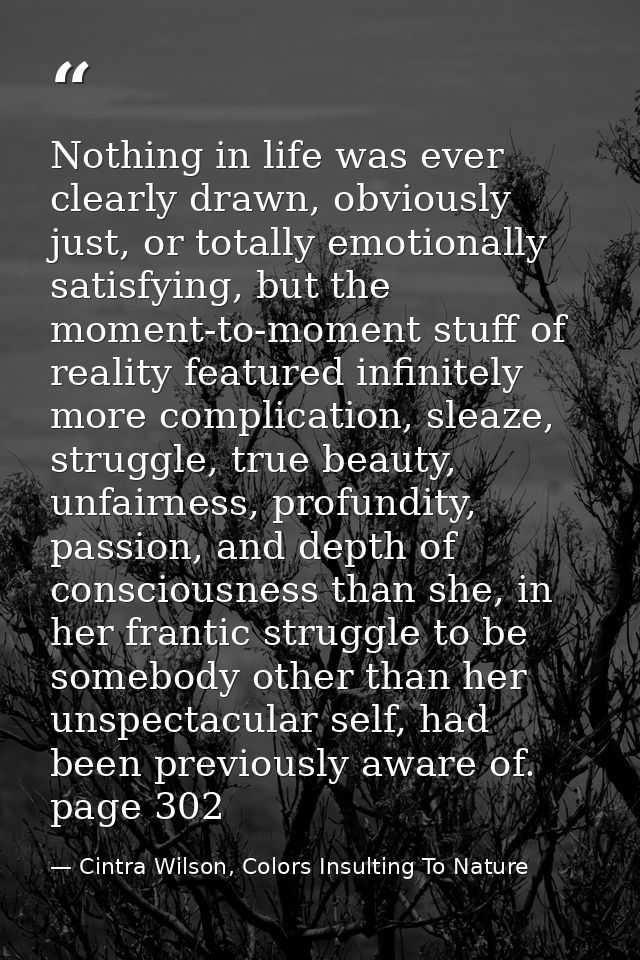 Nothing in life was ever clearly drawn, obviously just, or totally emotionally satisfying, but the moment-to-moment stuf — Cintra Wilson, Colors Insulting To Nature
