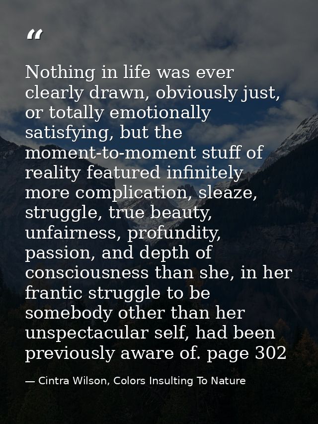 Nothing in life was ever clearly drawn, obviously just, or totally emotionally satisfying, but the moment-to-moment stuf — Cintra Wilson, Colors Insulting To Nature