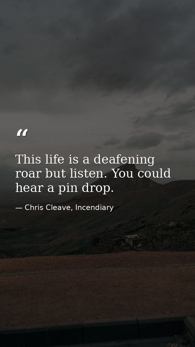 This life is a deafening roar but listen. You could hear a pin drop. — Chris Cleave, Incendiary
