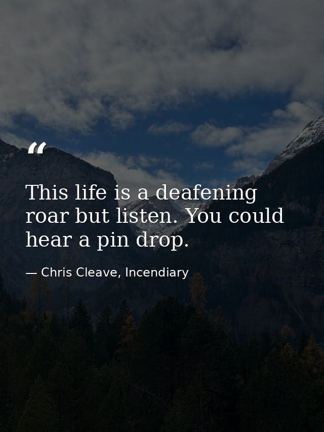 This life is a deafening roar but listen. You could hear a pin drop. — Chris Cleave, Incendiary