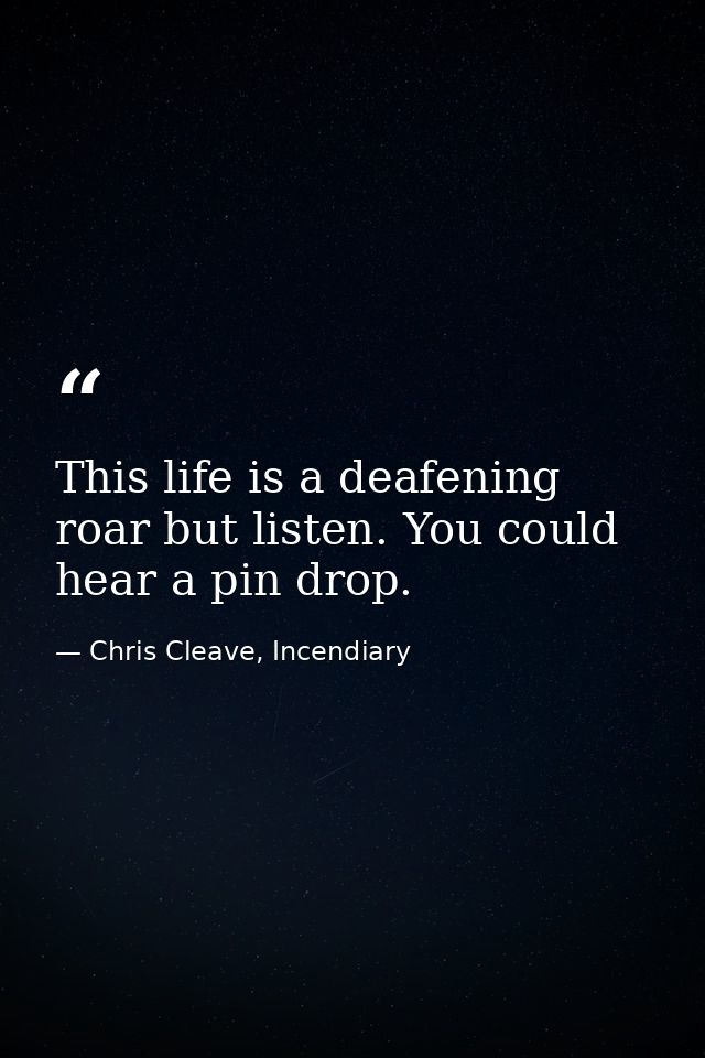 This life is a deafening roar but listen. You could hear a pin drop. — Chris Cleave, Incendiary