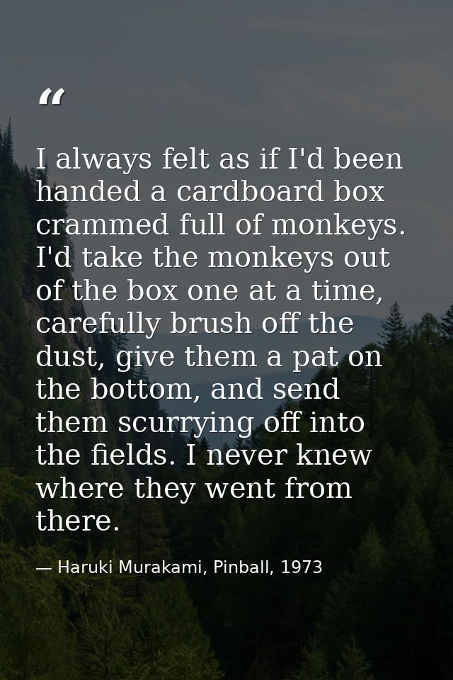 I always felt as if I'd been handed a cardboard box crammed full of monkeys. I'd take the monkeys out of the box one at  — Haruki Murakami, Pinball, 1973