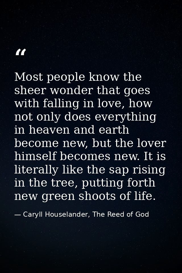 Most people know the sheer wonder that goes with falling in love, how not only does everything in heaven and earth becom — Caryll Houselander, The Reed of God